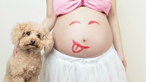 疑惑｜我听说做赠卵试管婴儿可以一次生两个孩子？这是真的吗？-好孕育医生在线