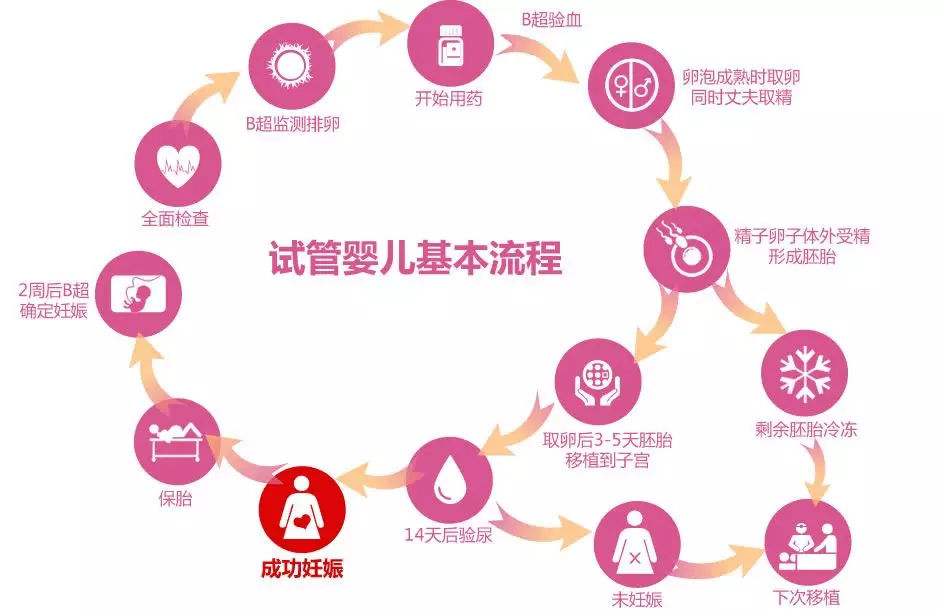 赠卵试管婴儿取卵后对卵巢的危害以及如何保护卵巢