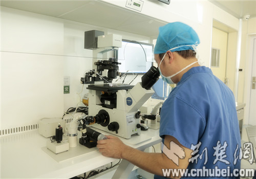 宁波宁波医院代怀做男孩公司一次就成功大概需要多少钱？